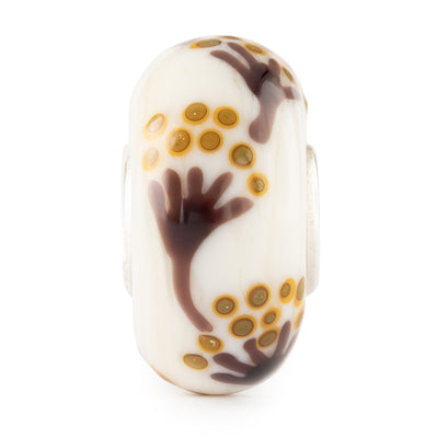 Zwischen Wind und Wurzeln