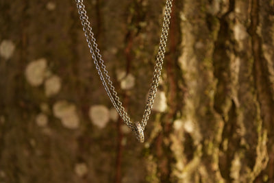 PEACE in Our Time (inkl. IKRK-Spende)